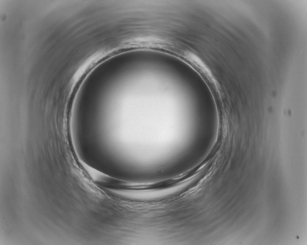X0000086961336200704161509