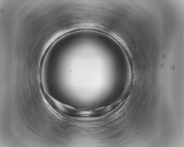 X0000086961342200704161509