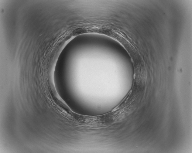 X0000086961345200704161508