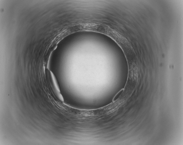 X0000086961346200704161508