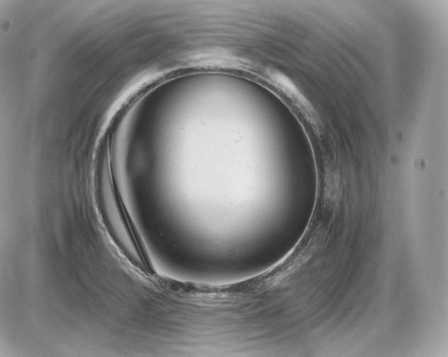 X0000086961376200704161508