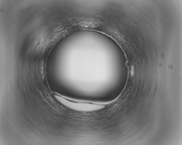 X0000086961396200704161507