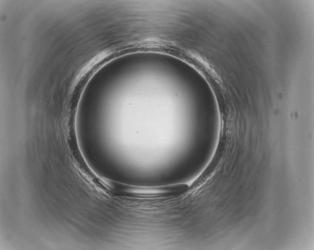 X0000086961410200704161507