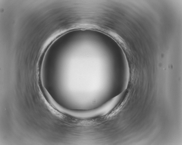 X0000086961430200704161507