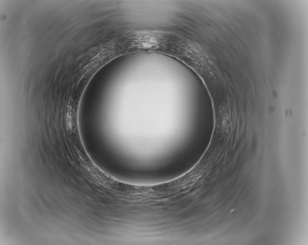 X0000086961442200704161507