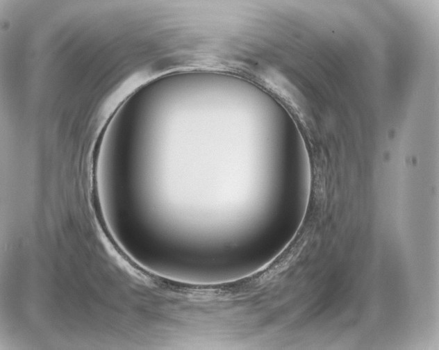 X0000086961479200704161506