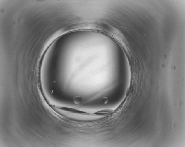 X0000086961483200704161506