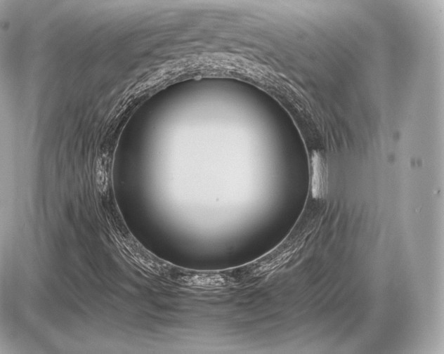 X0000086961491200704161505