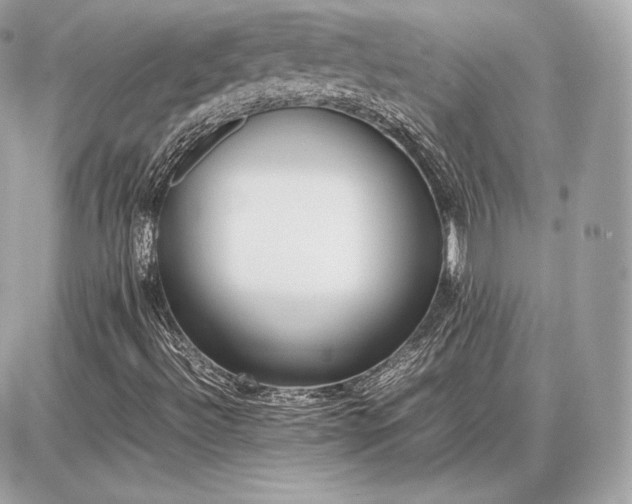 X0000086961492200704161505