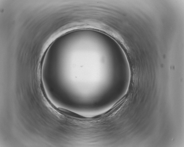 X0000086961516200704161506