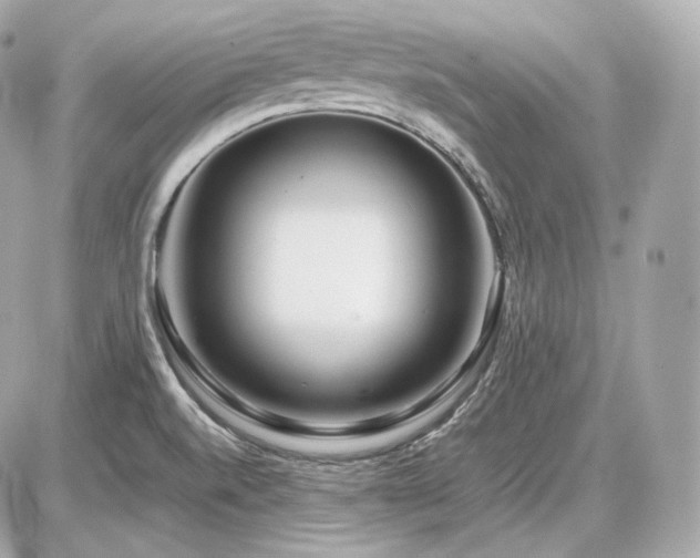 X0000086961520200704161506