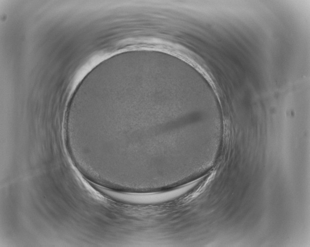 X0000086961533200704161506