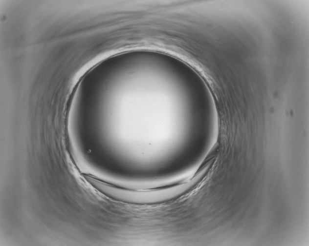 X0000086961534200704161506