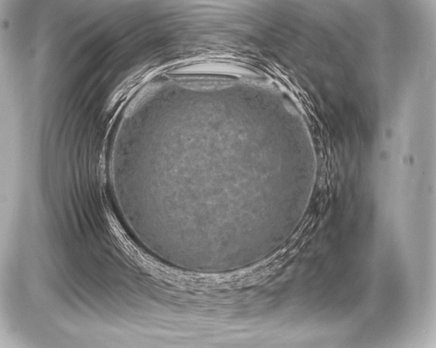 X0000086960002200704231502