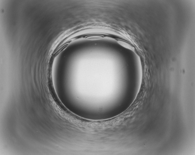 X0000086960007200704231502