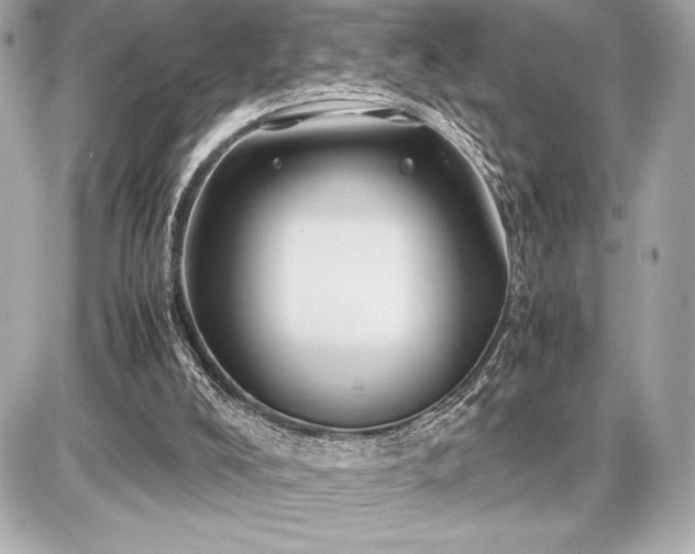 X0000086960008200704231502