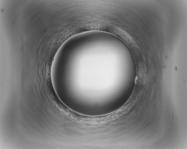 X0000086960025200704231502