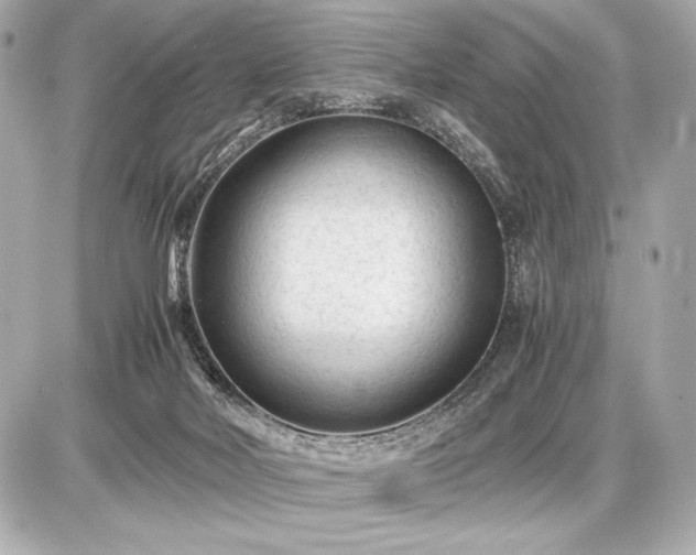 X0000086960026200704231502