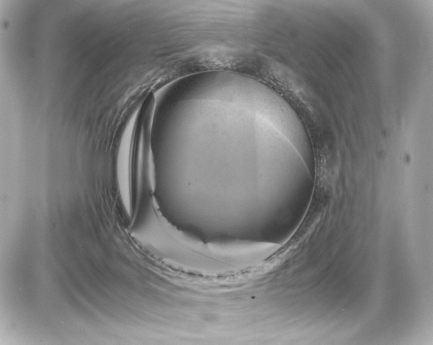 X0000086960027200704231502