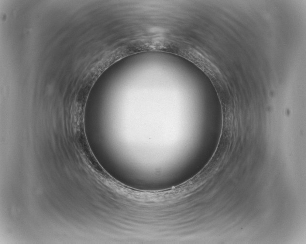 X0000086960030200704231502
