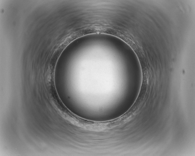 X0000086960032200704231502