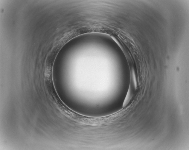 X0000086960033200704231502