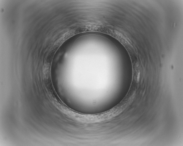 X0000086960034200704231501