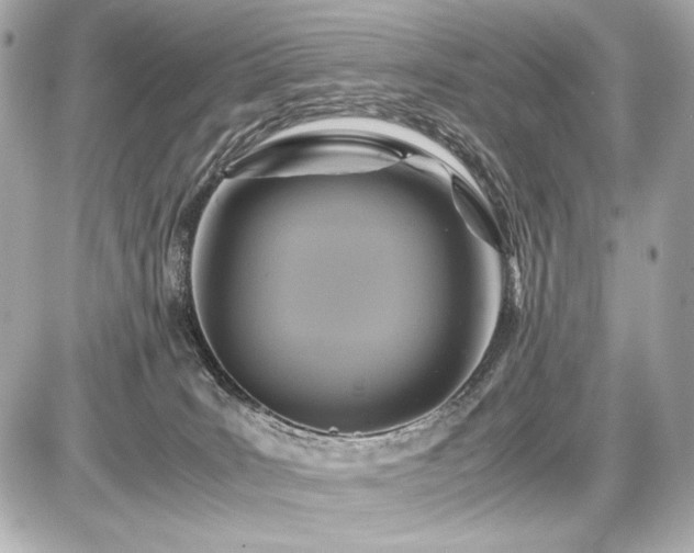 X0000086960035200704231501
