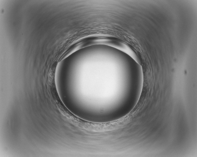X0000086960037200704231501