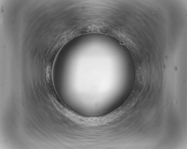 X0000086960038200704231501