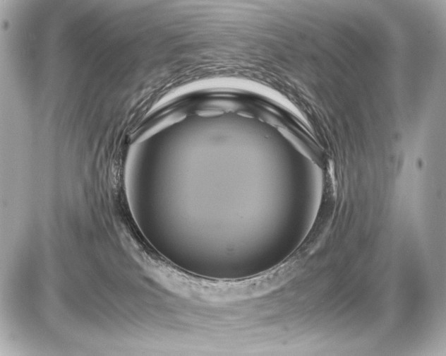 X0000086960039200704231501
