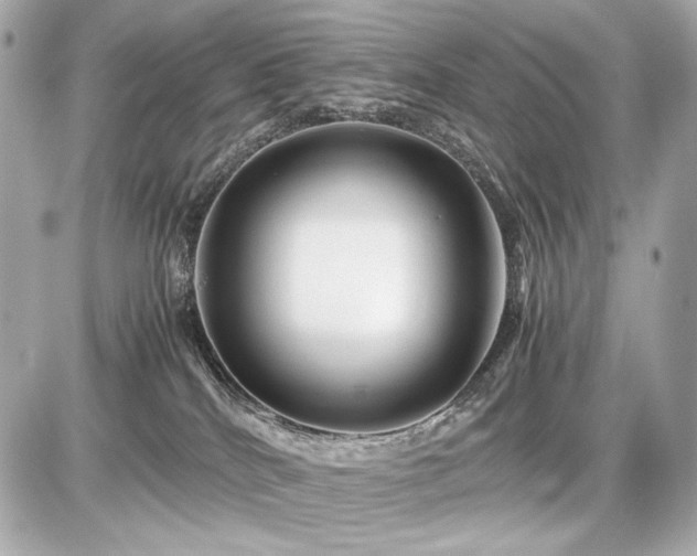 X0000086960040200704231501
