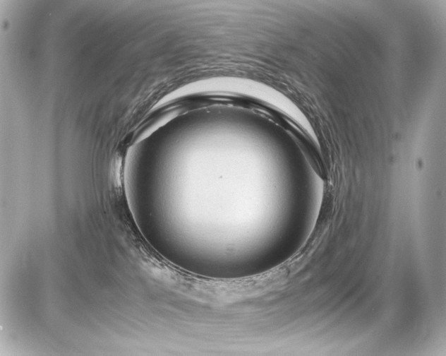 X0000086960041200704231501