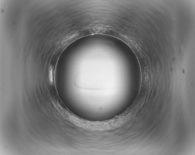 X0000086960042200704231501