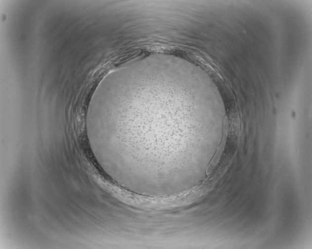 X0000086960043200704231501