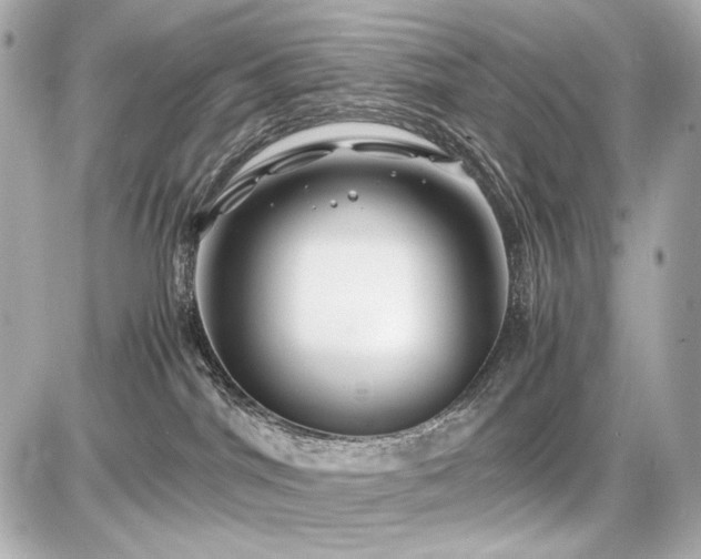 X0000086960044200704231501