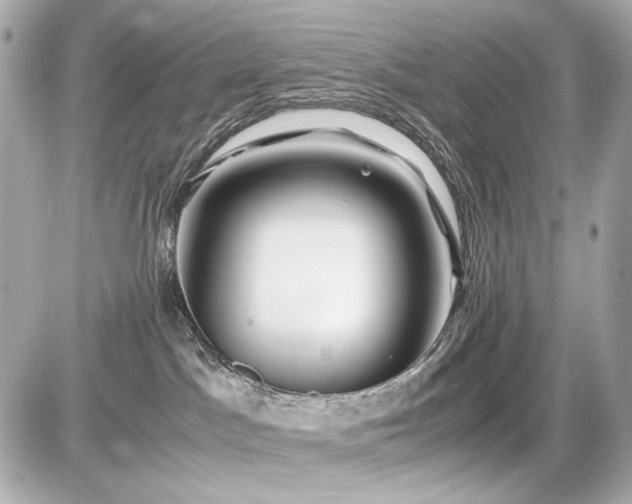 X0000086960045200704231501
