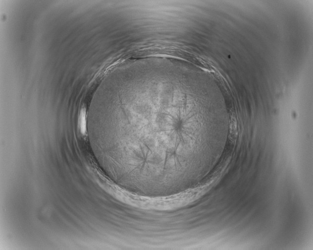 X0000086960046200704231501