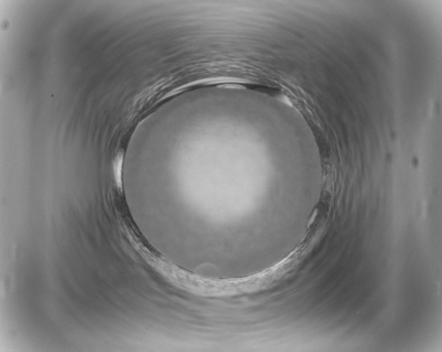X0000086960047200704231501