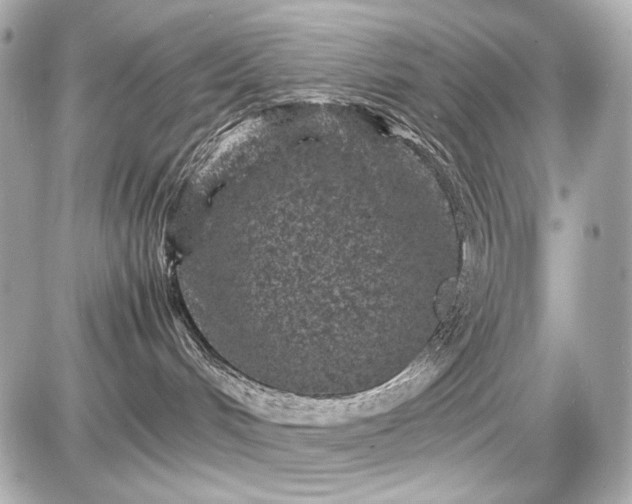 X0000086960048200704231501