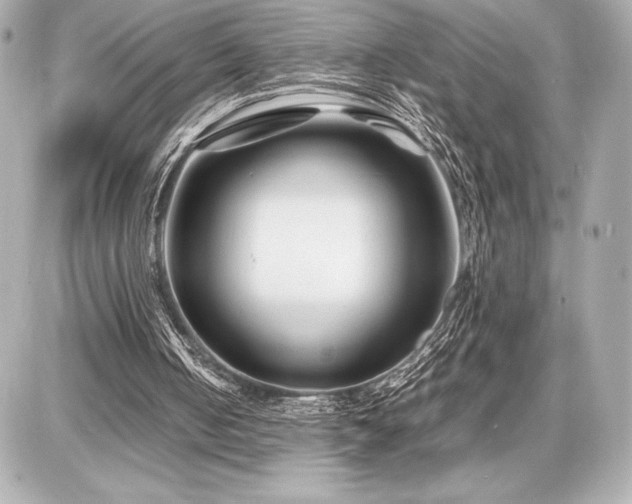 X0000086960050200704231500