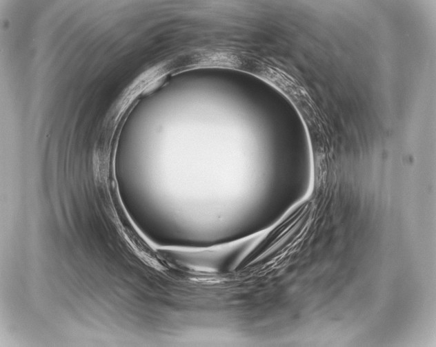 X0000086960051200704231501