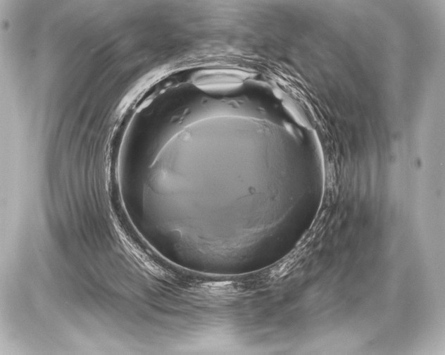X0000086960054200704231501