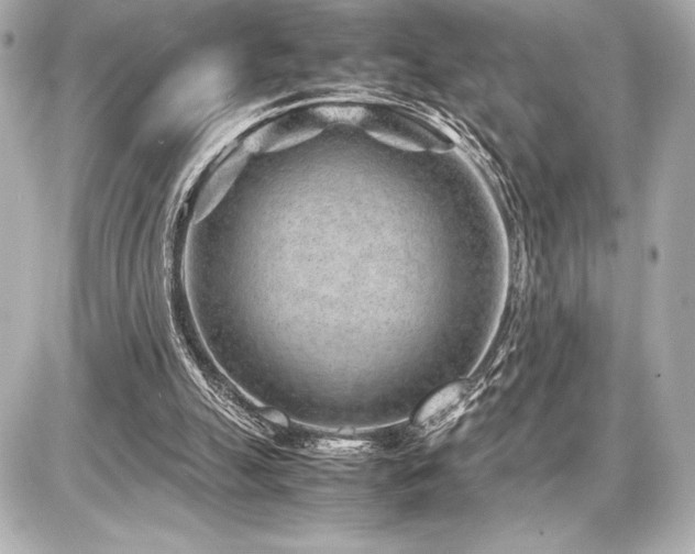 X0000086960055200704231501