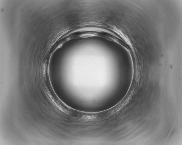 X0000086960057200704231501