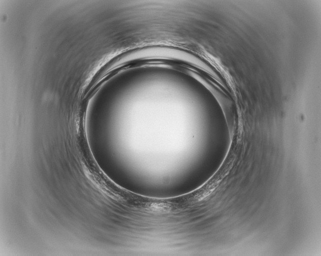 X0000086960060200704231501