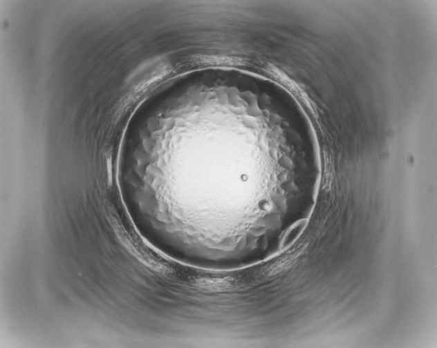 X0000086960061200704231501