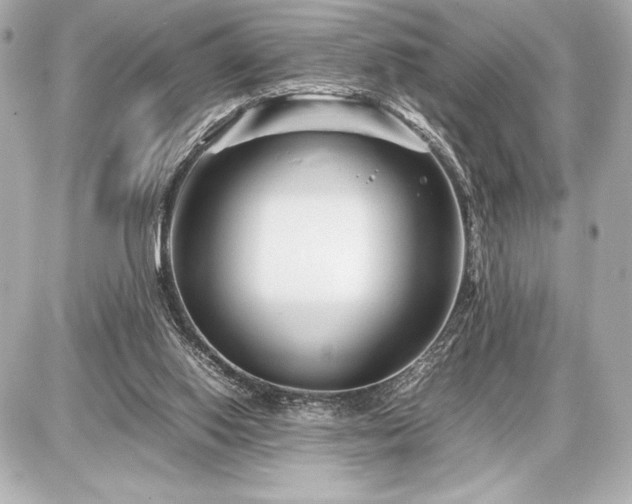 X0000086960062200704231501