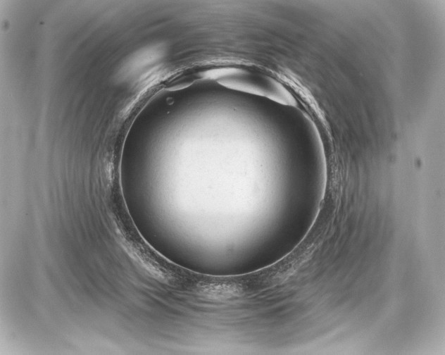 X0000086960063200704231501