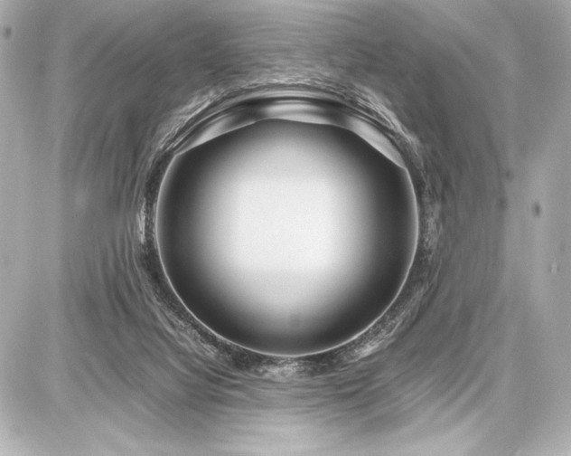 X0000086960068200704231501